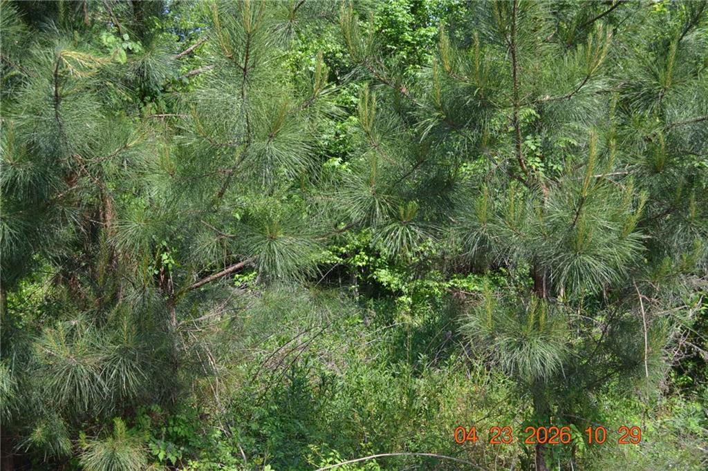 0 Sandfort Rd and 3rd St. South