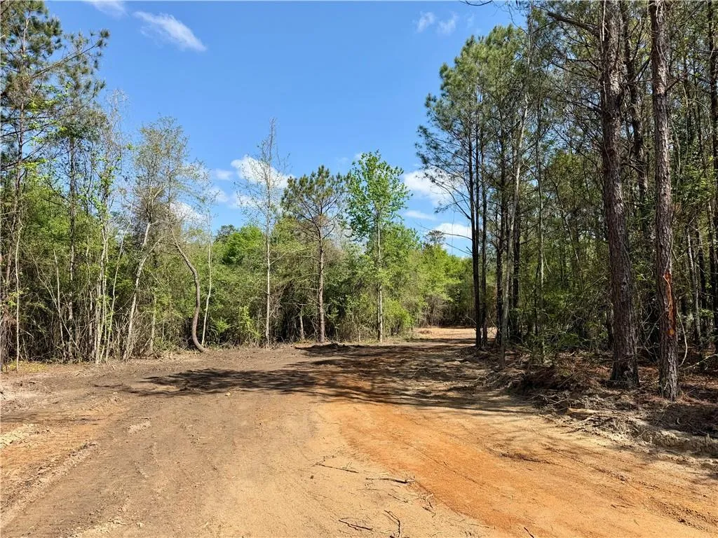 344 Ridge Road, Seale, AL 36875