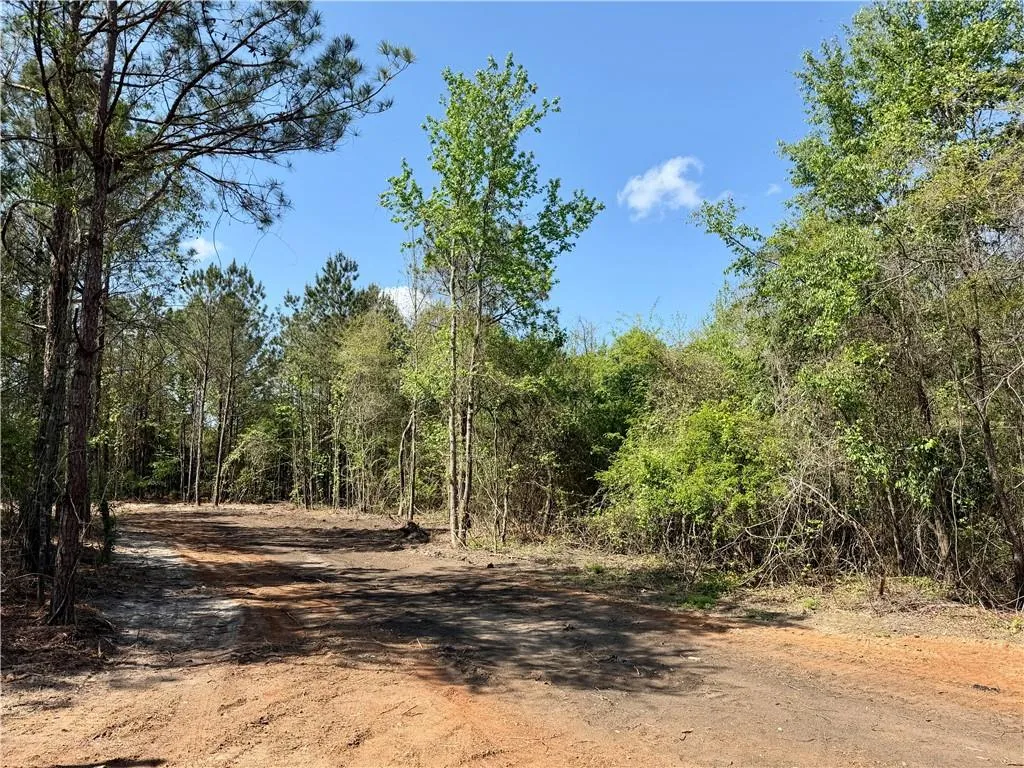 Additional image 29 of 344 Ridge Road, Seale, AL 36875