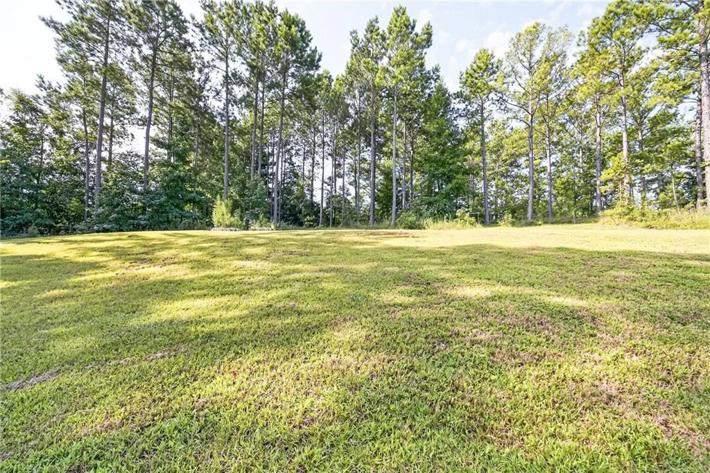 117 Lee Rd 2208, Salem, AL 36874