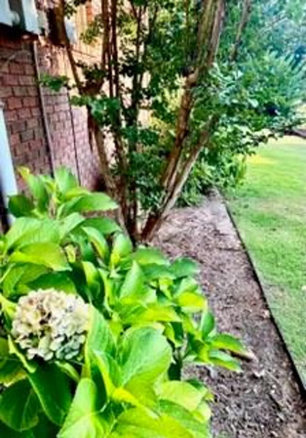 Additional image 65 of 71 Greystone Court, Smiths Station, AL 36877
