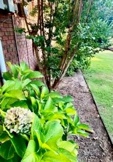 Additional image 132 of 71 Greystone Court, Smiths Station, AL 36877