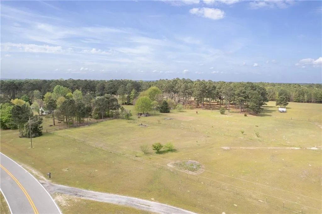 Additional image 51 of 1399 Lee Road 401, Opelika, AL 36804