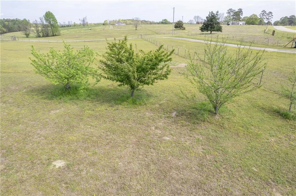 Additional image 55 of 1399 Lee Road 401, Opelika, AL 36804