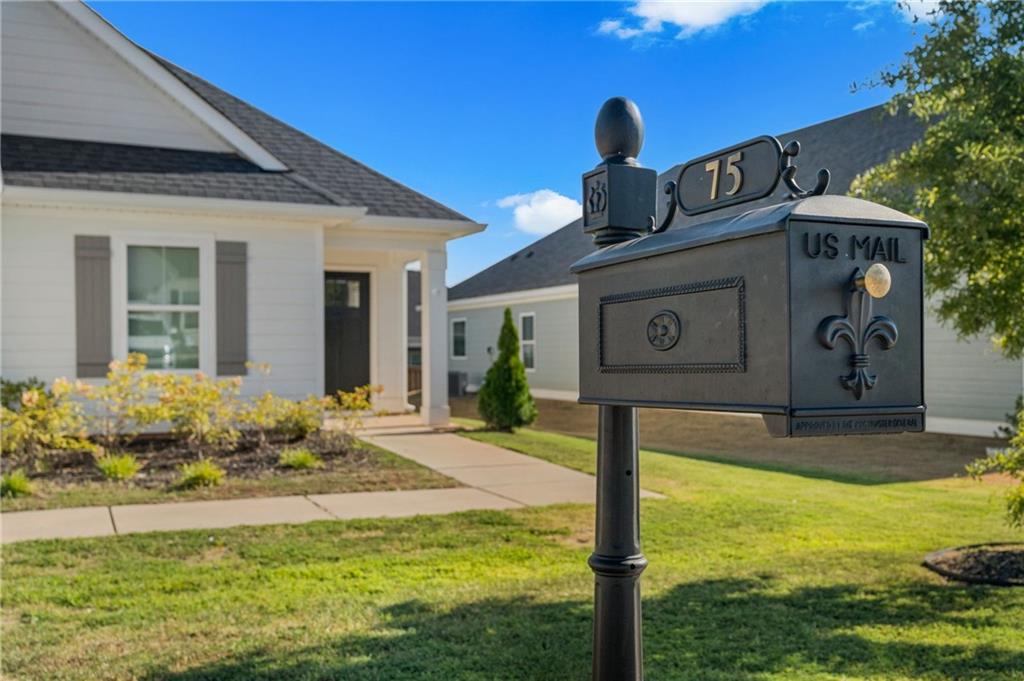 75 Ivy Loop