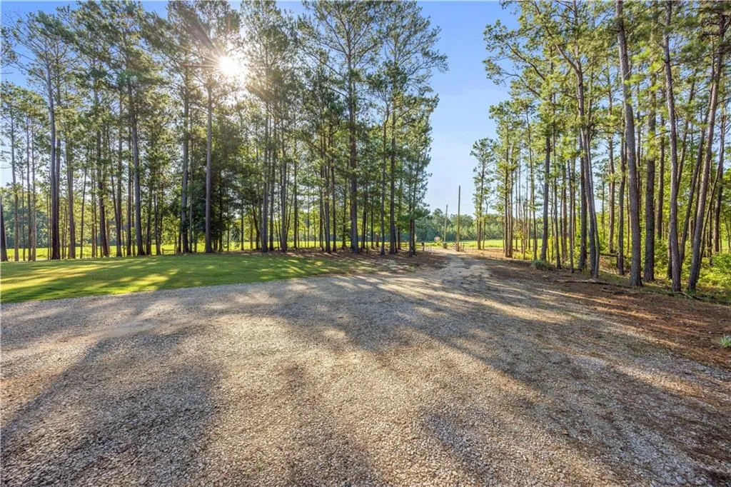 Additional image 107 of 62 McCarthy Road, Opelika, AL 36804