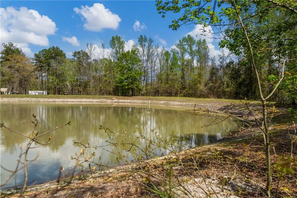 Additional image 80 of 42 Maringo Creek Road, Phenix City, AL 36869