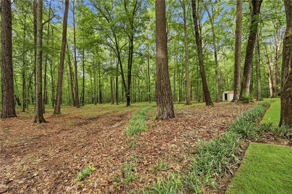 Additional image 80 of 1200 Lee Road 279, Salem, AL 36874