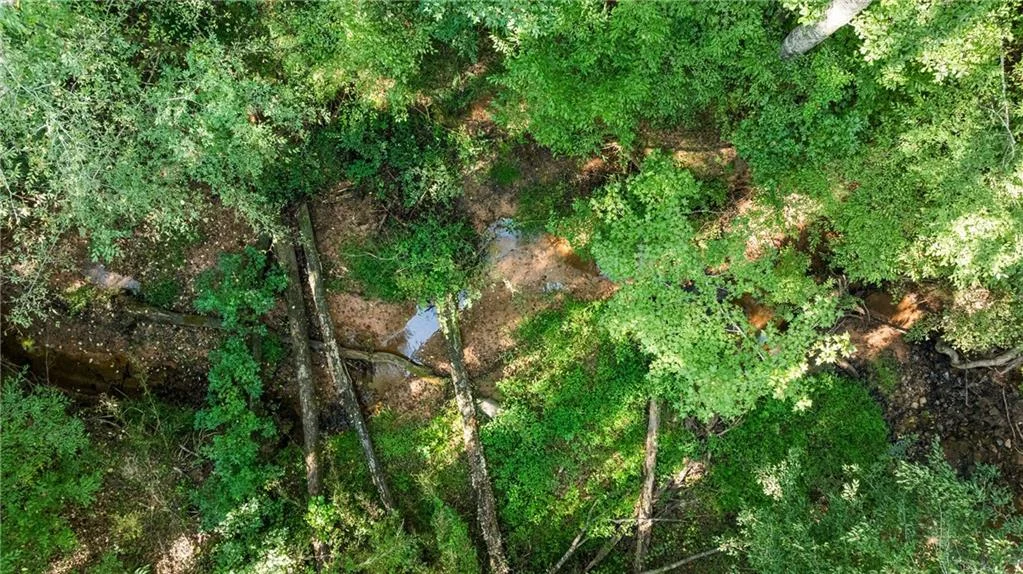3696 Lee Road 254, Salem, AL 36874