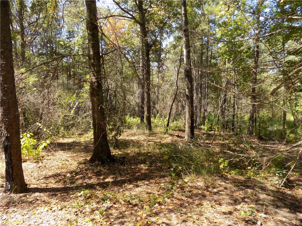 Lot 3 Macon County Road 24