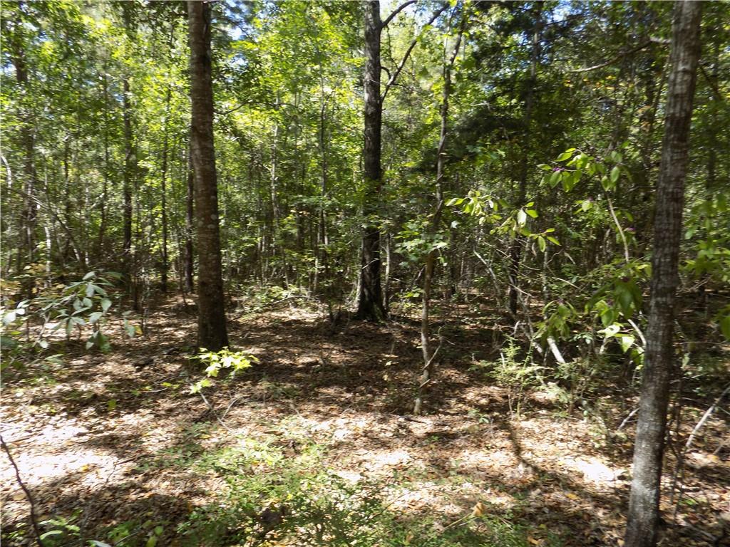 Lot 3 Macon County Road 24