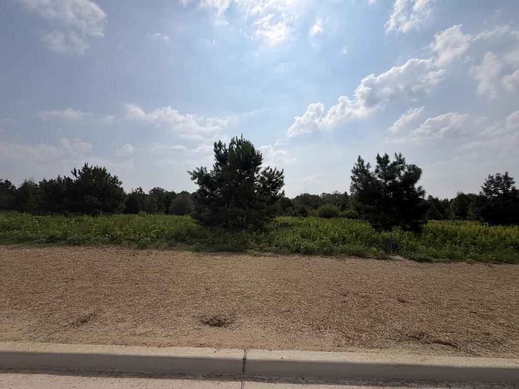 Lot 6 HOMESTEAD LANE