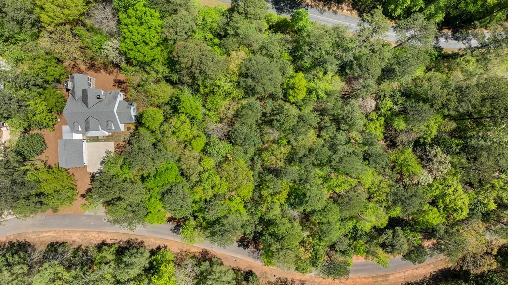 Photo 1 of 10 — 410 HIGHLAND PARK LOOP, PINE MOUNTAIN, GA 31822
