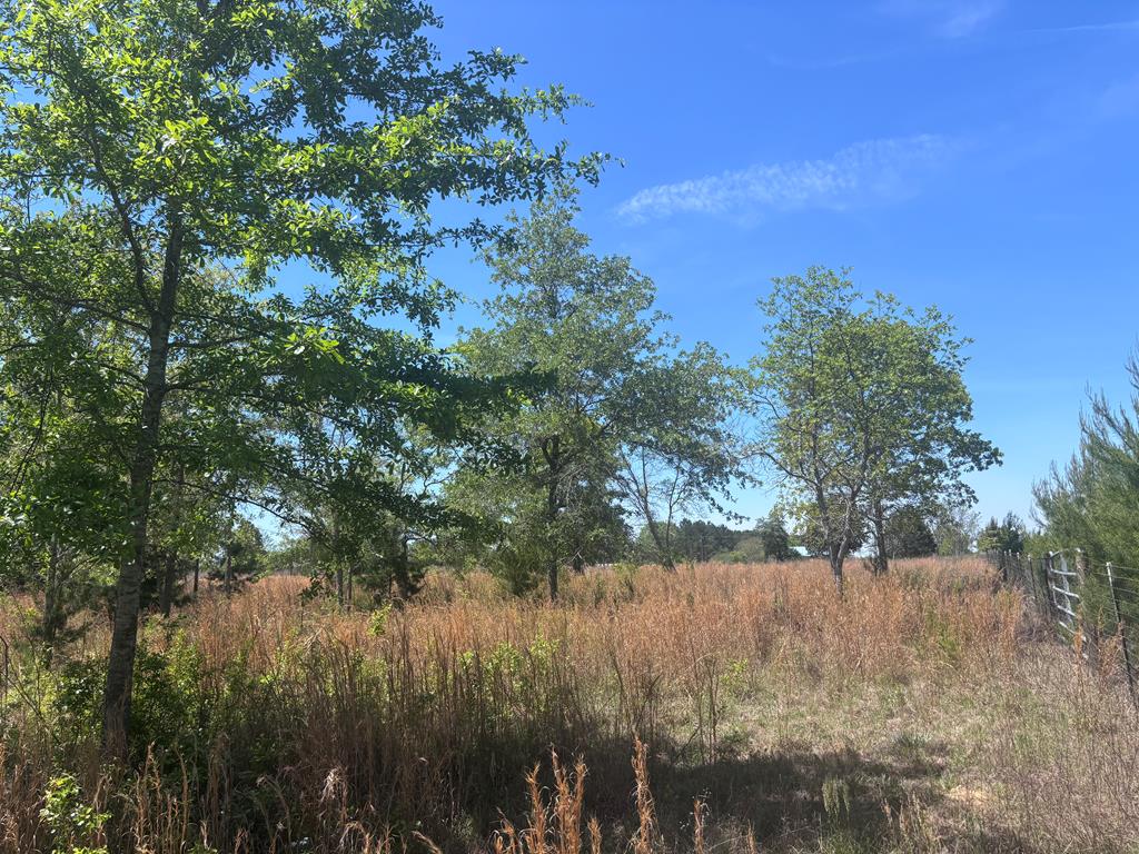 5 ac KIRKLAND STORE ROAD