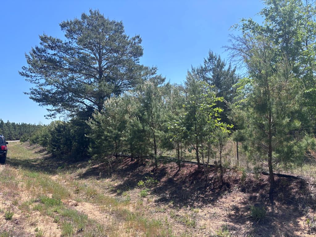 5 ac KIRKLAND STORE ROAD