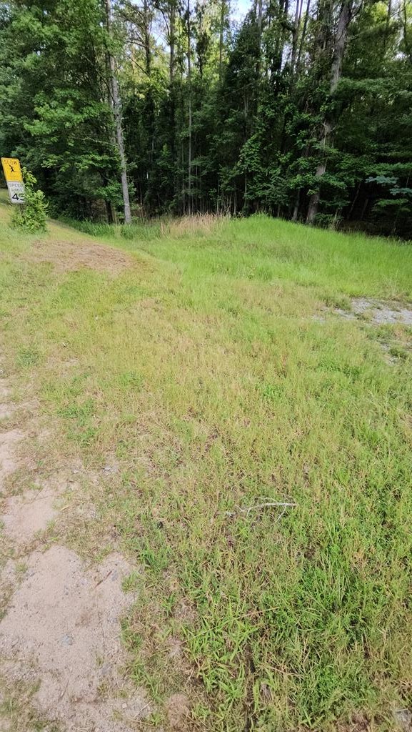 Photo 1 of 3 — 00 BARNES MILL ROAD, HAMILTON, GA 31811