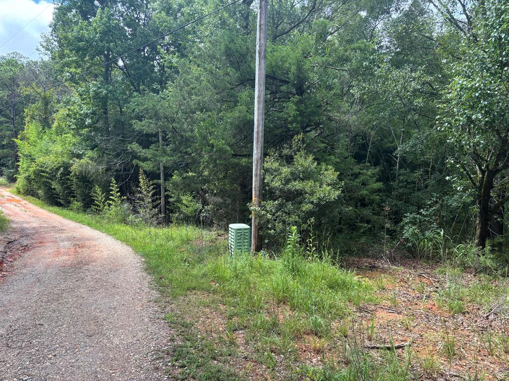 101 and 0 INDIAN MOUNTAIN TRAIL