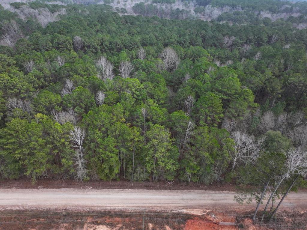 Photo 1 of 3 — Lot 3 SILVA DRIVE, HAMILTON, GA 31811