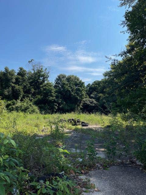 Featured picture for the property 223003