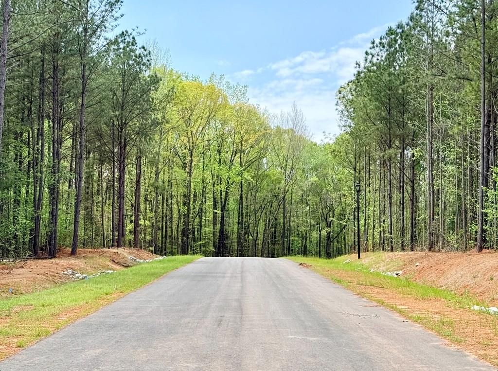 Photo of 186 Rolling Meadows Way, WAVERLY HALL, GA 31831 (MLS # 231700)