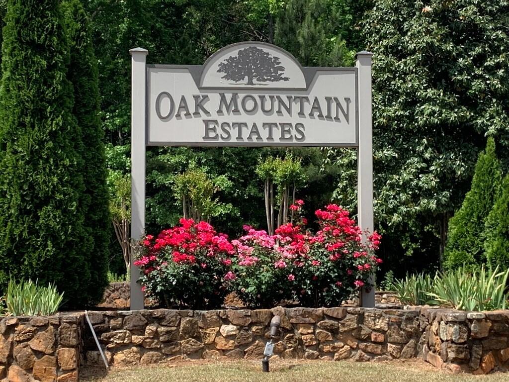 909 MOUNTAIN RIDGE DRIVE