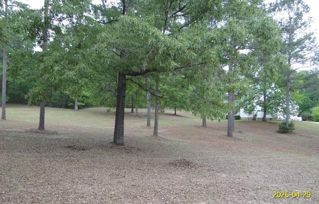 Photo of 144 Old Sardis Church Road, CLAYTON, AL 36016 (MLS # 231712)