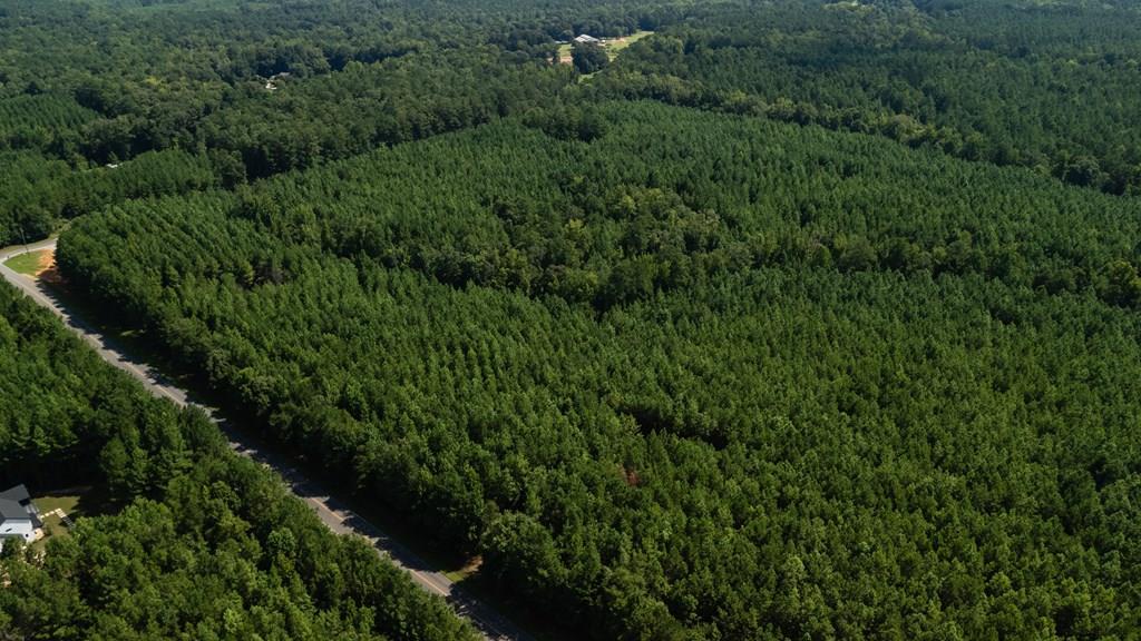Photo 1 of 7 — 0 FORTUNE HOLE ROAD, HAMILTON, GA 31811