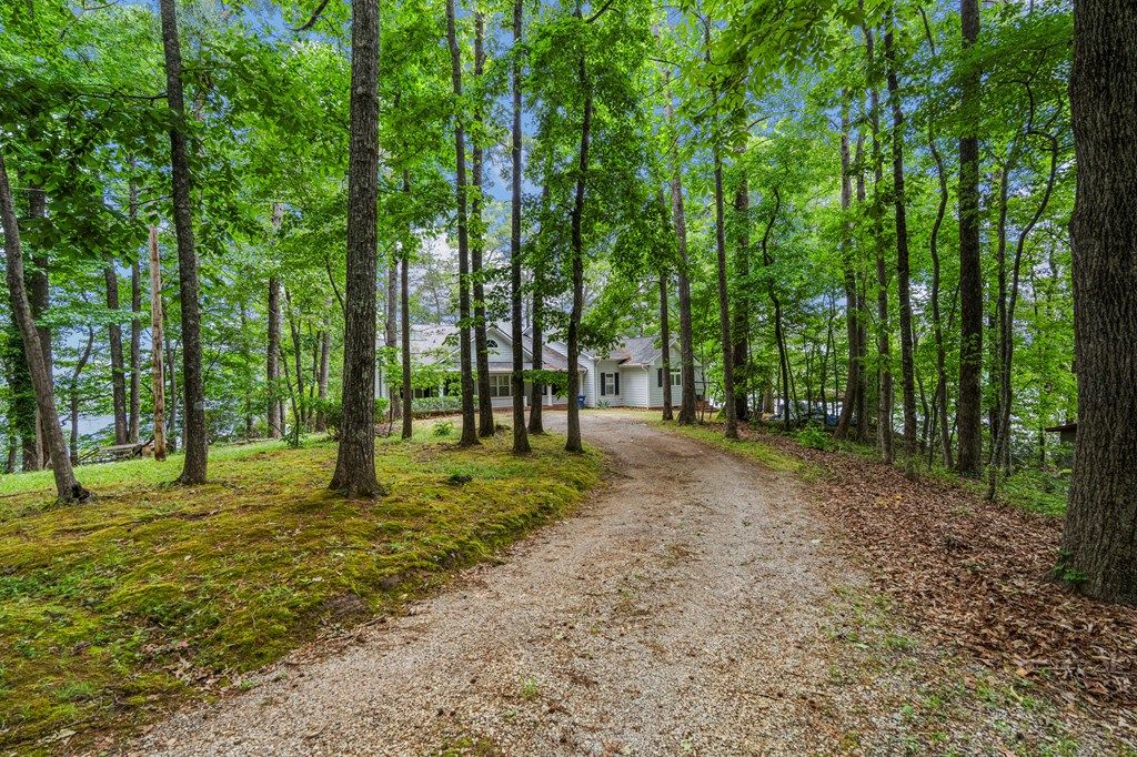 Photo of 1705 Lee Road 0348, SALEM, AL 36874 (MLS # 231621)