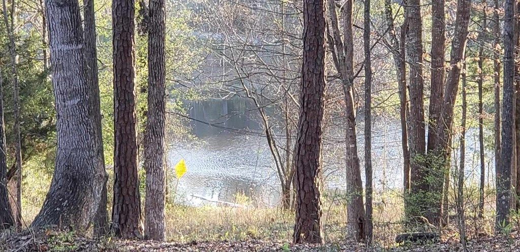 Photo of 125 Sputnik Street, FORTSON, GA 31808 (MLS # 231880)