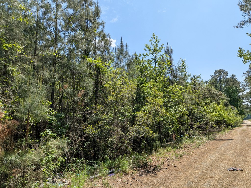 0 DORTON CREEK DRIVE