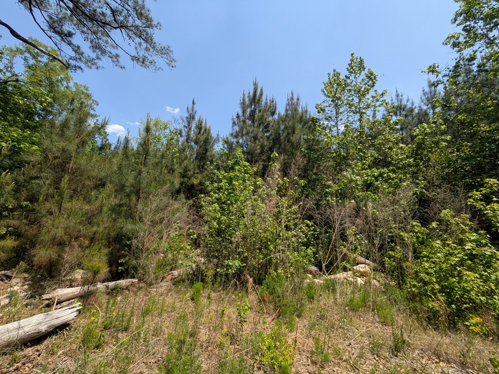 0 DORTON CREEK DRIVE