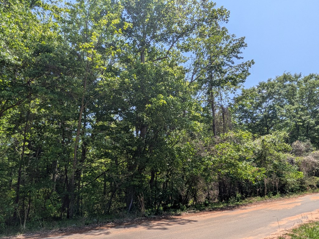 0 DORTON CREEK DRIVE