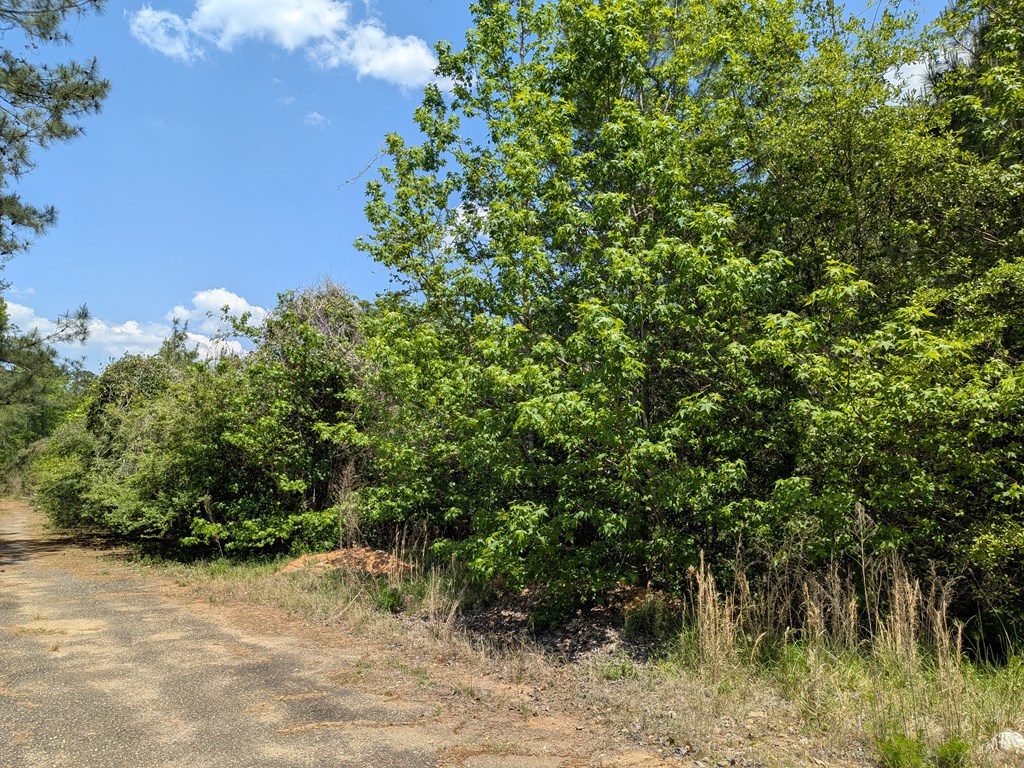 0 DORTON CREEK DRIVE