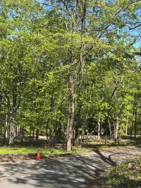 0 ROYAL LODGE CIRCLE