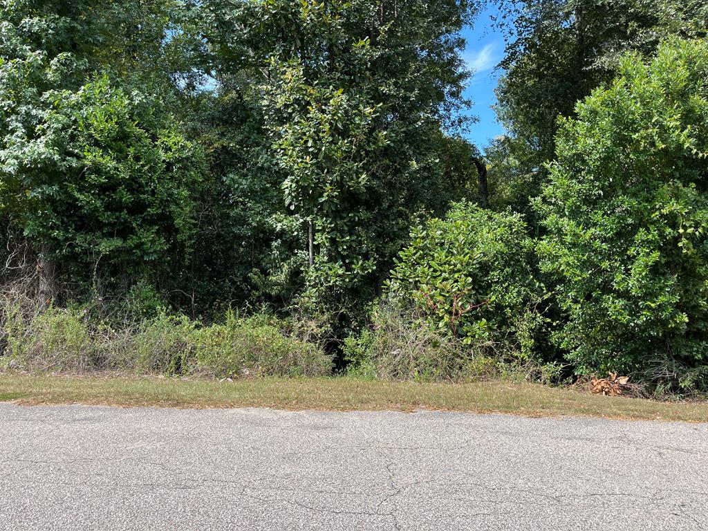 Photo 1 of 1 — 0 12TH PLACE, PHENIX CITY, AL 36869
