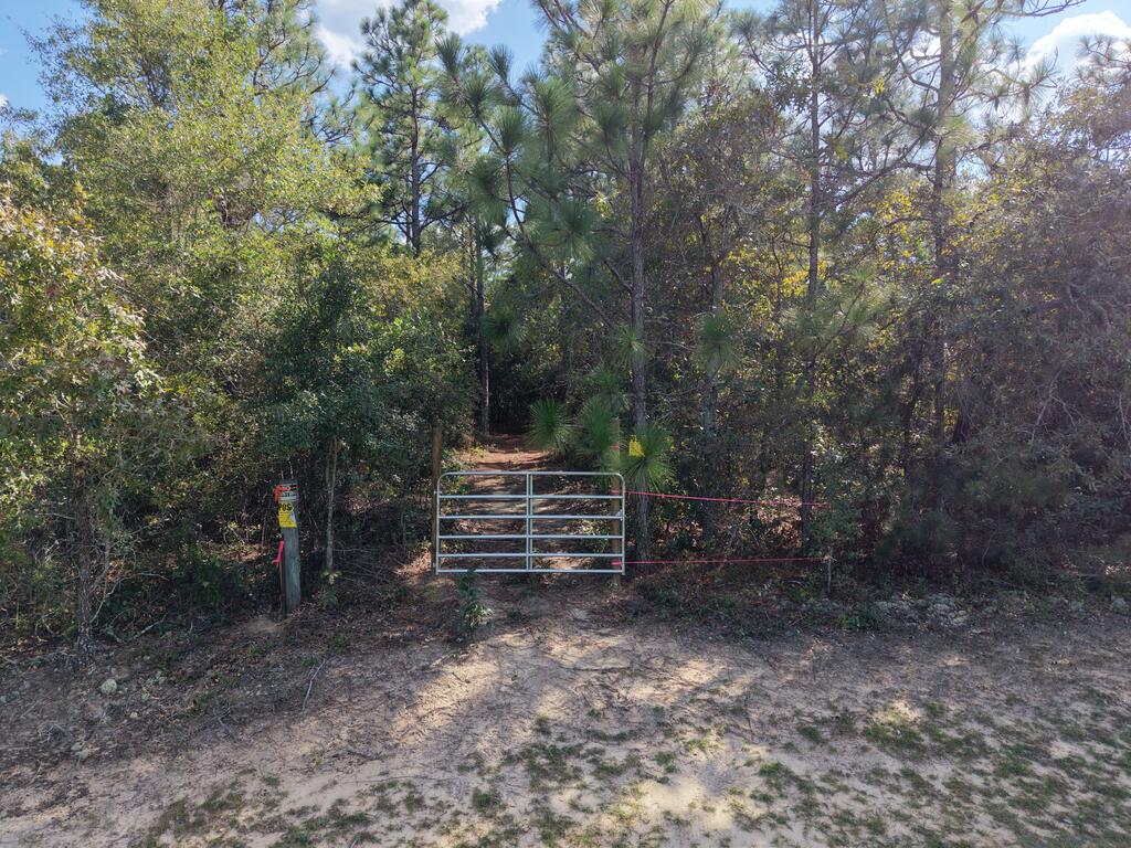 0 (6.17 Acres) PINEKNOT ROAD