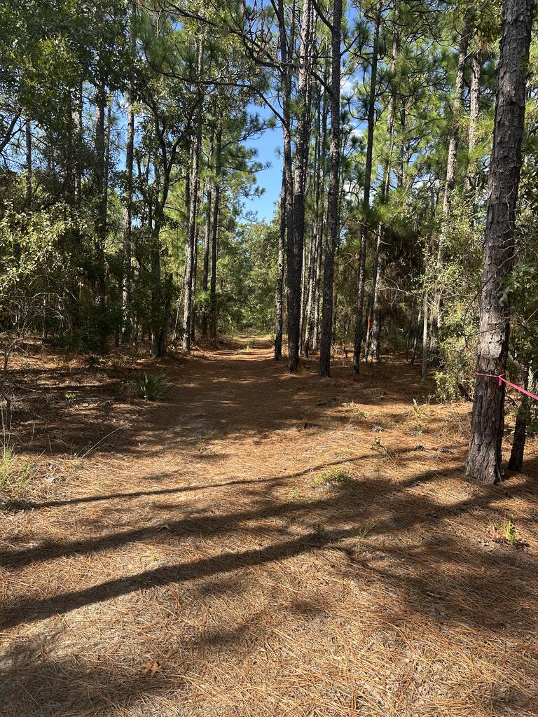 0 (6.17 Acres) PINEKNOT ROAD