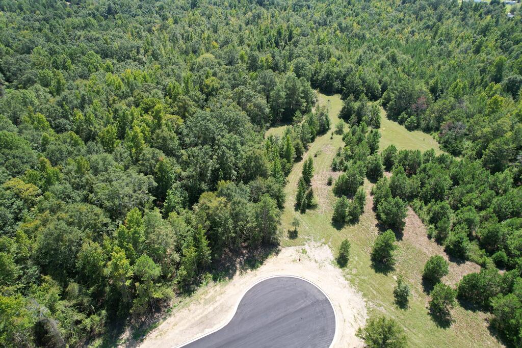 Lot 13 HOMESTEAD LANE