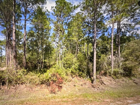 Vacant Land For Sale - 6600 Bryant Road<br/> Navarre, FL 32566
