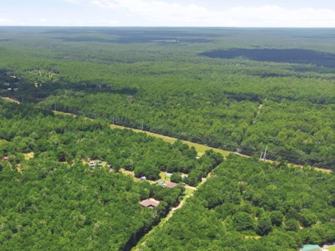Vacant Land For Sale - 3 ACRES Bryant Bridge Cutoff Road<br/> Holt, FL 32564