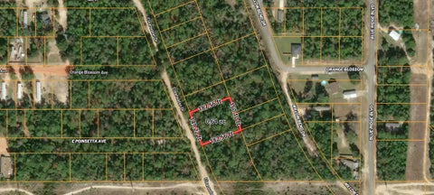 Vacant Land For Sale - 130 Cleawater Ln<br/> DeFuniak Springs, FL 32433