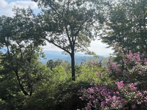 576 Apache Trail CHATSWORTH GA 30705