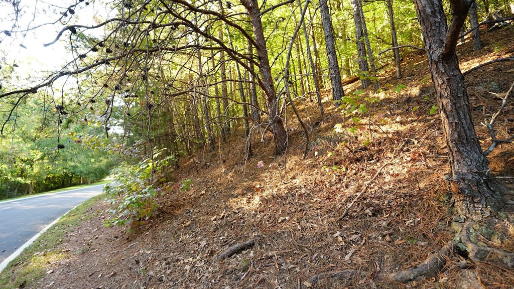 Lot 6 Eden Park Drive