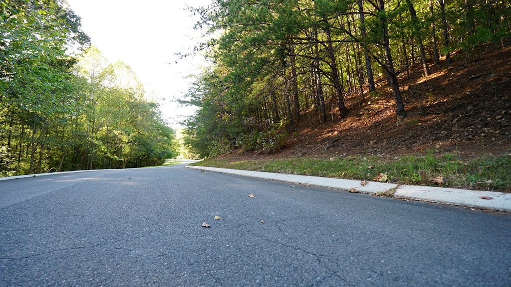 Lot 6 Eden Park Drive