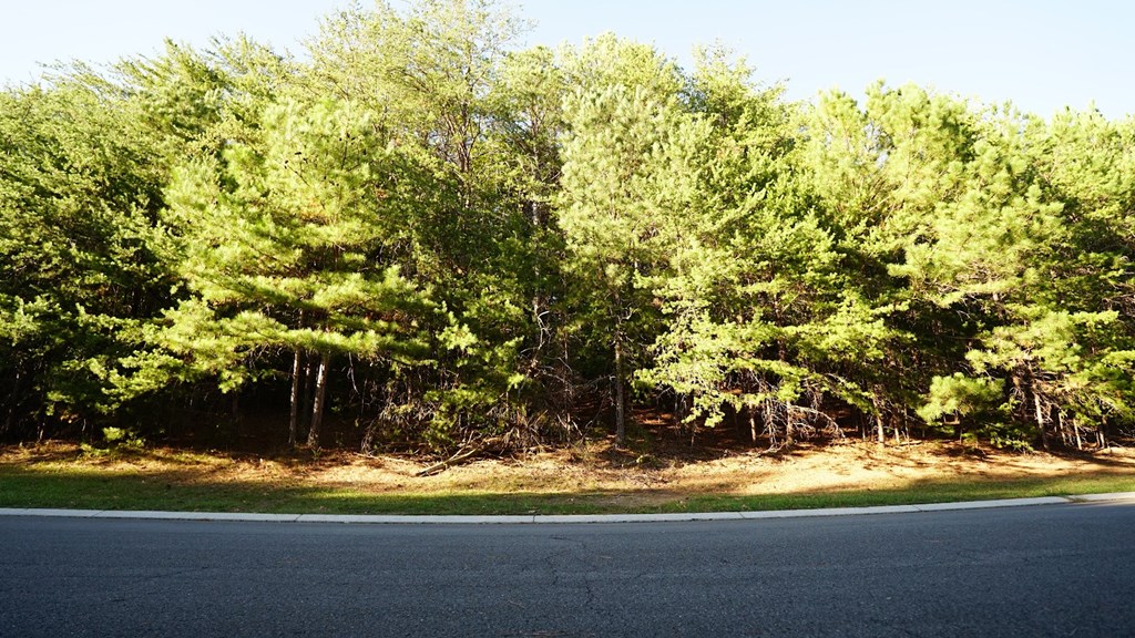 Lot 6 Eden Park Drive