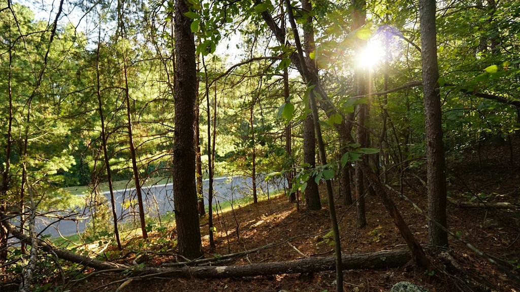 Lot 6 Eden Park Drive