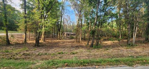 252 Beatrice Court Ranger GA 30734