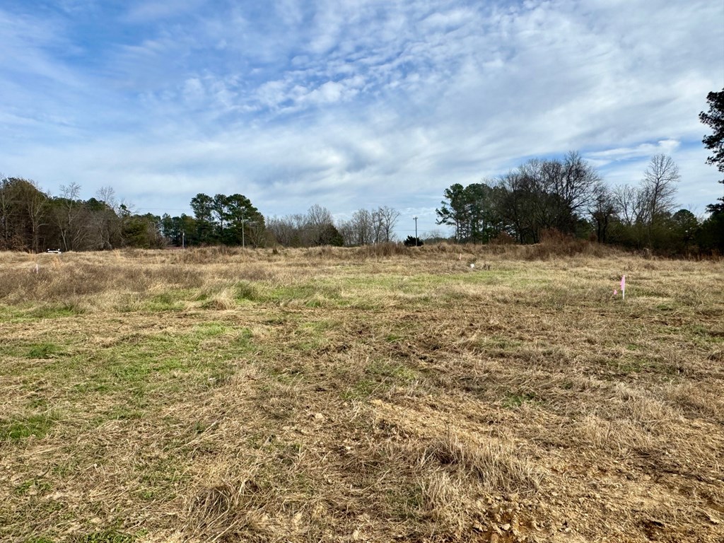 2456 Brown Bridge Road