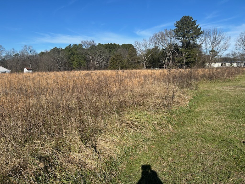 00 Cottonwood Mill Road