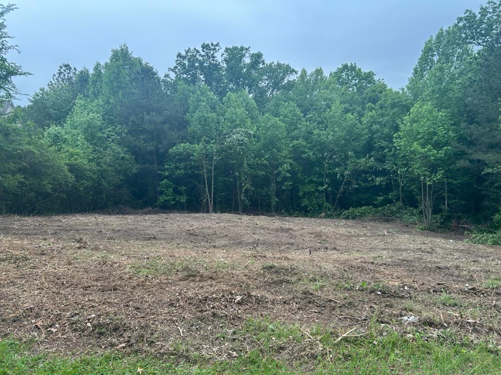 250 Pinnacle Point Drive
